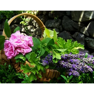 Minden, amit tudni akartál a virágvizekről.