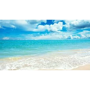 Nyári illóolajok és illóolaj-keverékek